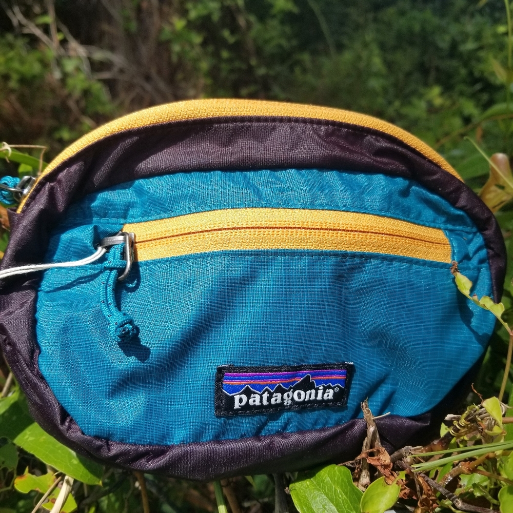 Patagonia Ultralight Black Hole Mini Hip Pack 1L Unisex